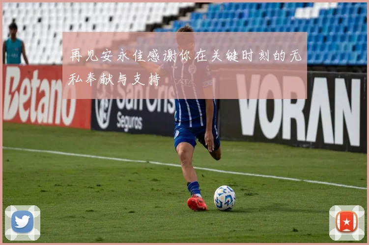 再见安永佳感谢你在关键时刻的无私奉献与支持