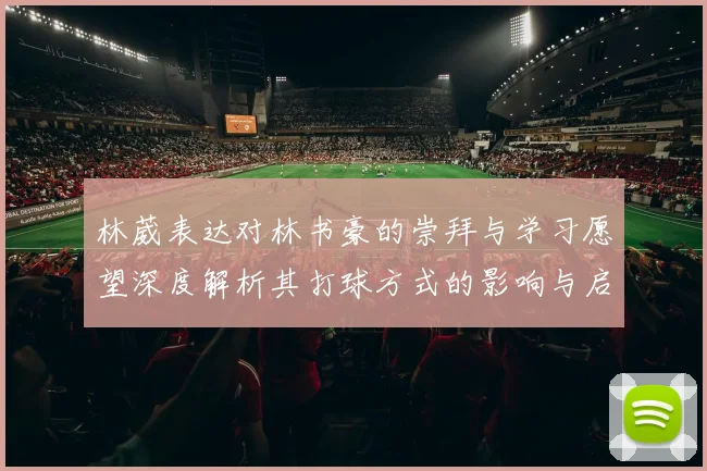 林葳表达对林书豪的崇拜与学习愿望深度解析其打球方式的影响与启发