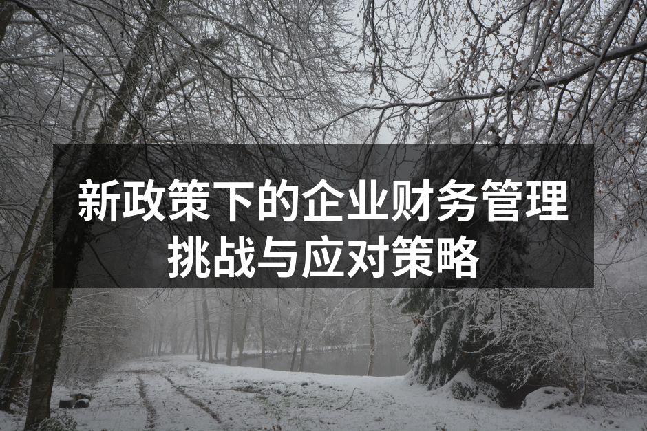 新政策下的企业财务管理挑战与应对策略