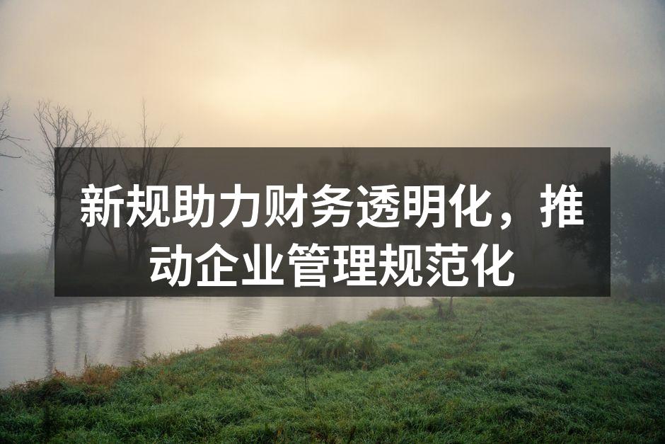 新规助力财务透明化，推动企业管理规范化