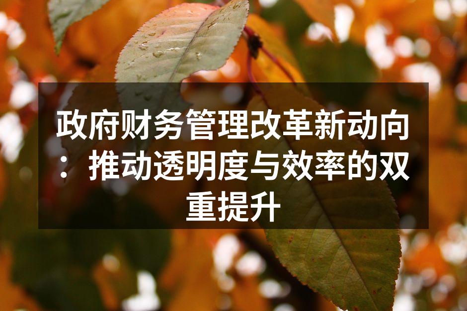 政府财务管理改革新动向：推动透明度与效率