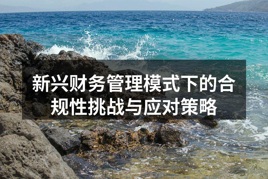 新兴财务管理模式下的合规性挑战与应对策略